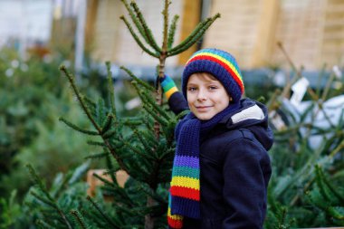 Piyasada Noel ağacı tutan sevimli, gülümseyen çocuk. Açık hava dükkanından büyük bir Xmas ağacı seçen ve satın alan kışın giydiği sağlıklı çocuk. Aile, gelenek, kutlama