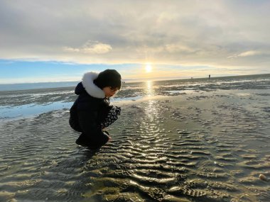 Cheerful little girl walking and searching shells on beach of North Sea during low tide on cold but sunny spring day