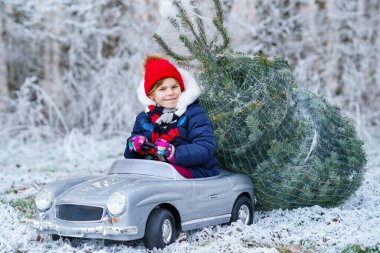 Happy little smiling girl driving toy car with Christmas tree. Funny preschool child in winter clothes bringing hewed xmas tree from snowy forest. Family, tradition, holiday clipart