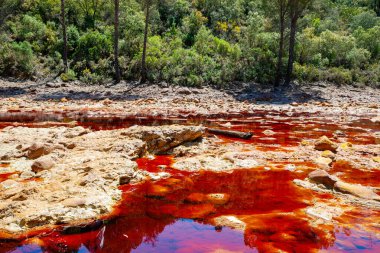 Rio Tinto nehri ve demir madenleri. Kırmızı renkli nehir bakır, yerde demir. Mars 'ta yaşam araştırmalarında kullanılan su..