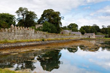 Kuzey İrlanda'daki Castle Ward'Un eski ortaçağ kalıntıları. Serie Game of Thrones'un çekim yeri, Kıştepesi.