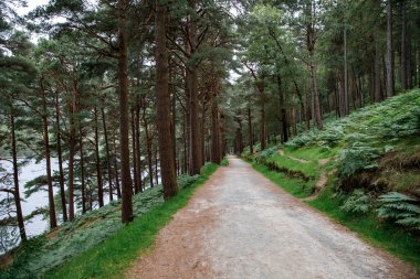 Glendalough Vadisi 'ndeki patika manzaralı, Wicklow ilçesi, İrlanda. Dağlar, göl ve turistler yürüyüş yolları.