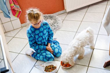 Küçük kız evdeki güneşli odada tatlı köpekleri besliyor. Mutlu çocuk ve sevimli köpek birlikte. Çocukların ve evcil hayvanlarının arkadaşlığı