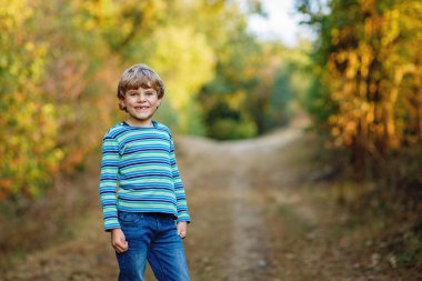 Ormandaki küçük havalı çocuğun portresi. Mutlu sağlıklı çocuk sıcak güneşli bir sonbaharda eğleniyor. Aile, doğa, aşk ve aktif eğlence.