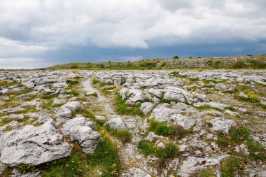 Burren National Park in Ireland, county Clare. Rough Irish nature. Beautiful landscape