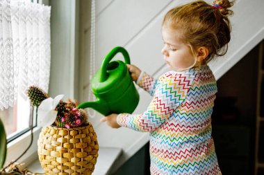 Evdeki pencereye çiçek ve kaktüs eken küçük bir kız. Tatlı çocuk yardımı, ev hayatı. Su dolu bir teneke kutu tutan, yardım alan mutlu sağlıklı bir çocuk. Yeşillik, çevre kavramı
