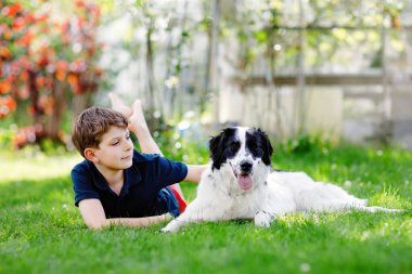 Aktif çocuk bahçede aile köpeğiyle oynuyor. Gülen okul çocuğu antrenman köpeğiyle eğleniyor, koşuyor ve topla oynuyor. Dışarıda mutlu bir aile. Hayvanlar ve çocuklar arasındaki arkadaşlık..