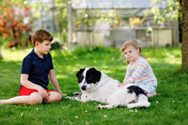 Okul çocuğu ve küçük kız bahçede aile köpeğiyle oynuyorlar. İki çocuk, sevimli kardeşler köpekle eğleniyorlar. Dışarıda mutlu bir aile. Evcil hayvan ve çocuklar arasındaki arkadaşlık ve aşk..