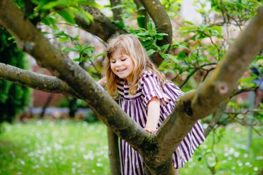 Küçük anaokulu kızı aile bahçesinde ağaca tırmanıyor. Manolya ağacında asılı sevimli, mutlu bir çocuk, çocuklarla açık havada aktif oyunlar. Parkta ya da bahçede açık hava aktivitesi.