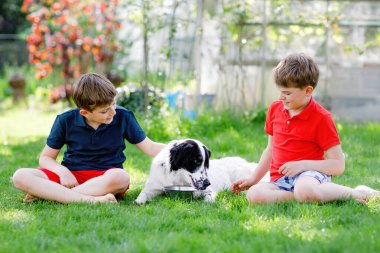 Bahçede aile köpeğiyle oynayan iki çocuk. Gülen çocuklar, sevimli kardeşler köpekle eğleniyorlar, koşuyorlar ve topla oynuyorlar. Dışarıda mutlu bir aile. Hayvanlar ve çocuklar arasındaki arkadaşlık.