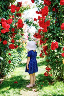 Çiçek açan gül bahçesinde küçük bir kızın portresi. Yaz güneşli bir günde parkta güllerle ve çiçeklerle eğlenen sevimli güzel bir çocuk. Mutlu gülümseyen bebek