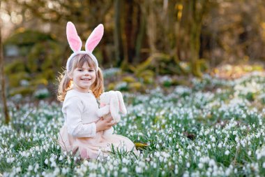 Paskalya tavşanı kulaklı sevimli küçük kız bahar ormanlarında güneşli bir günde açık havada yumuşak pelüş oyuncak tutuyor. Bir sürü kartopu çiçeği olan sevimli mutlu bir çocuk. İlkbahar, Hıristiyan bayramı konsepti