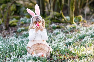 Güneşli bir günde, açık havada bahar ormanlarında Paskalya yumurtası avına çıkan küçük kız. Bir sürü kartopu çiçeği ve renkli yumurtası olan sevimli, mutlu bir çocuk. İlkbahar, Hıristiyan bayramı konsepti