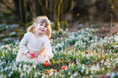 Güneşli bir günde, açık havada bahar ormanlarında Paskalya yumurtası avına çıkan küçük kız. Bir sürü kartopu çiçeği ve renkli yumurtası olan sevimli, mutlu bir çocuk. İlkbahar, Hıristiyan bayramı konsepti