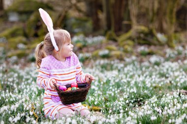 Paskalya tavşanı kulaklı küçük bir kız güneşli bir günde, açık havada yumurta avına çıkıyor. Bir sürü kartopu çiçeği ve renkli yumurtası olan sevimli, mutlu bir çocuk. İlkbahar, Hıristiyan bayramı konsepti