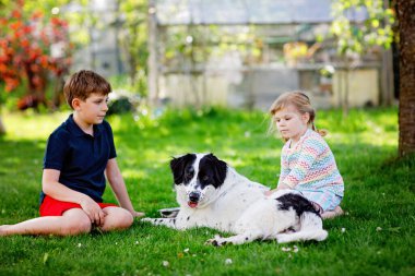 Okul çocuğu ve küçük kız bahçede aile köpeğiyle oynuyorlar. İki çocuk, sevimli kardeşler köpekle eğleniyorlar. Dışarıda mutlu bir aile. Evcil hayvan ve çocuklar arasındaki arkadaşlık ve aşk..