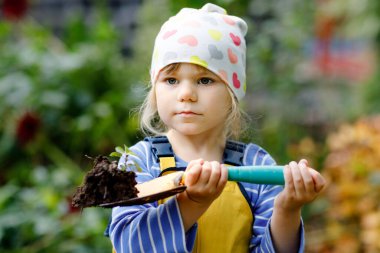 Elinde yeşil bitkiler filizlenen bahçe küreğini tutan sevimli küçük kız. Sevimli çocuk bahçeciliği, ekmeyi ve sebze yetiştirmeyi evcil bahçede öğreniyor. Ekoloji, organik gıda