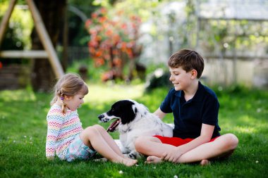 Okul çocuğu ve küçük kız bahçede aile köpeğiyle oynuyorlar. İki çocuk, sevimli kardeşler köpekle eğleniyorlar. Dışarıda mutlu bir aile. Evcil hayvan ve çocuklar arasındaki arkadaşlık ve aşk..