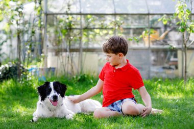 Aktif çocuk bahçede aile köpeğiyle oynuyor. Gülen okul çocuğu antrenman köpeğiyle eğleniyor, koşuyor ve topla oynuyor. Dışarıda mutlu bir aile. Hayvanlar ve çocuklar arasındaki arkadaşlık..