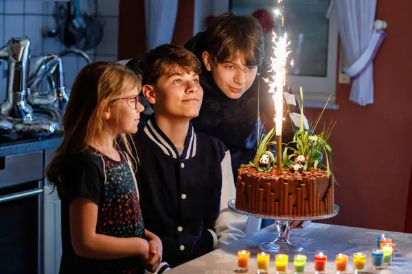 Mutlu ergen çocuk doğum gününü kutluyor. Küçük kız kardeş ve iki erkek kardeş pastaya mum üflüyorlar. Üç çocuklu sağlıklı bir aile portresi..