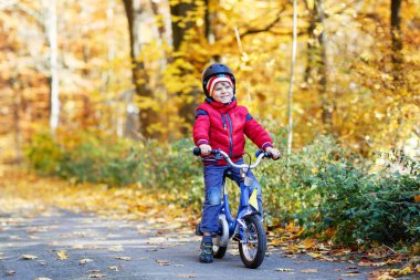 Sonbahar Ormanı Parkı 'nda renkli, sıcak giysiler içinde bisiklet süren küçük çocuk. Doğada güneşli bir sonbahar gününde bisiklet süren aktif bir çocuk. Güvenlik, spor, çocuk konseptiyle eğlence. Çocuklar için gündelik moda.
