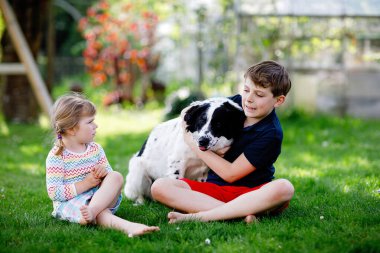 Okul çocuğu ve küçük kız bahçede aile köpeğiyle oynuyorlar. İki çocuk, sevimli kardeşler köpekle eğleniyorlar. Dışarıda mutlu bir aile. Evcil hayvan ve çocuklar arasındaki arkadaşlık ve aşk..