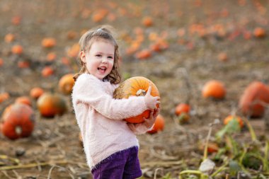 Sonbahar tarlasında balkabağı tarlasında bir sürü balkabağı olan anaokulu kızı. Mutlu çocuk açık havada hasat sezonunun tadını çıkarıyor. Gerçek hayat, gerçek insanlar.