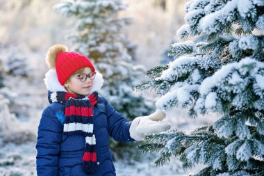 Small girl playing with snow. Happy preschool child in winter forest on snowy cold december day