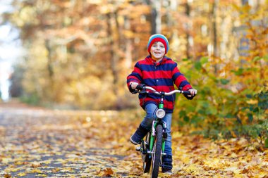 Sonbahar orman parkında bisiklet süren, renkli, sıcak giysiler içinde küçük bir çocuk. Doğada güneşli bir sonbahar gününde bisiklet süren aktif bir çocuk. Güvenlik, spor, çocuk konseptiyle eğlence..