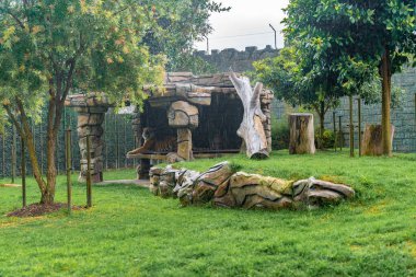 Çimlerde dinlenen kaplan, doğa, vahşi hayvanlar.