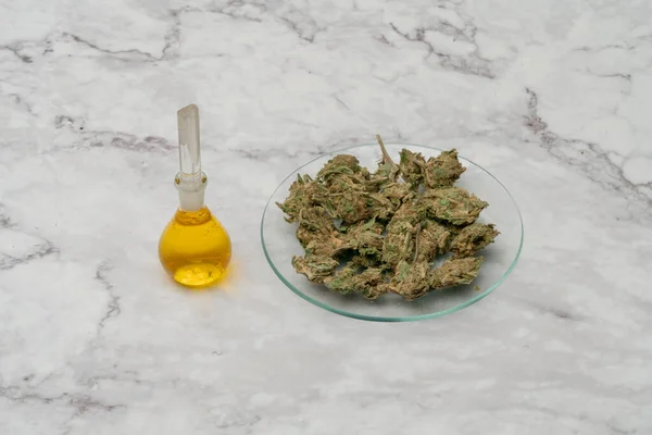 Marihuanové Konopí Léčivá Tráva Skleněné Nádobě Lékařský Extrakt Marihuanového Oleje — Stock fotografie