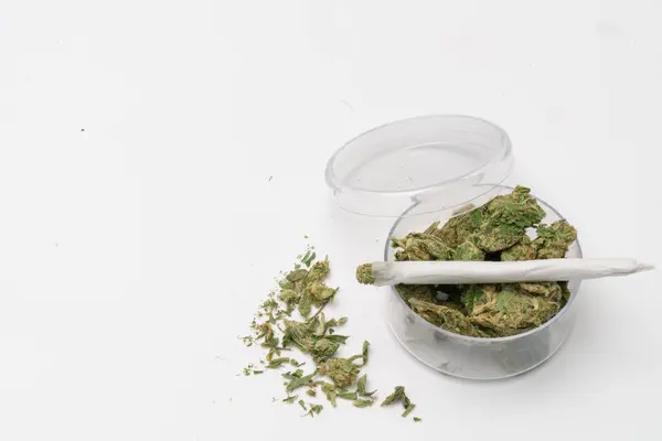 Cannabis Cannabis Médicinal Joint Mauvaises Herbes Dans Récipient Verre Drogues — Photo