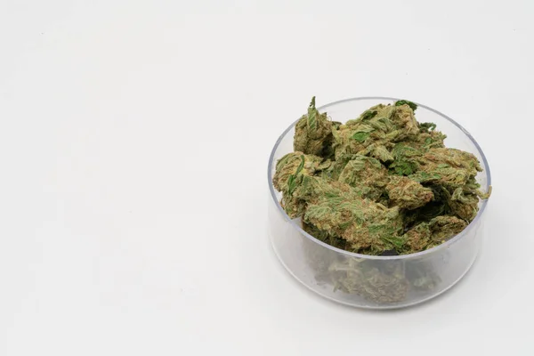 Marihuána Kannabisz Gyógyszer Füvezés Üvegdobozban Drogok — Stock Fotó