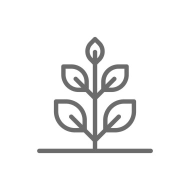 Siyah çizgili, çevre dostu bir ikon. Yaprak, bitki, büyüme, tohum, bahçe, organik, çevre. Vektör illüstrasyonu