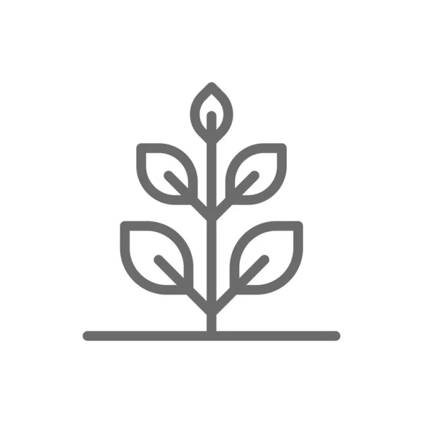 Рослинний Екологічно Чистий Значок Чорним Контуром Лист Рослина Ріст Насіння — стоковий вектор
