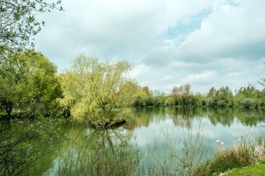 Gri bulutlu bir gökyüzünün altında sakin sulara yansıyan ağaçlarla çevrili balık gölü