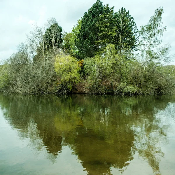 灰色の曇り空の下で穏やかな水に反射した木々に囲まれた釣り湖 — ストック写真