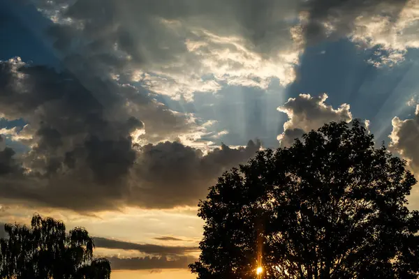 stock image Silhouetted Trees Against A Summer Setting Sun With Shafts Of Sunlight Against Storm Clouds