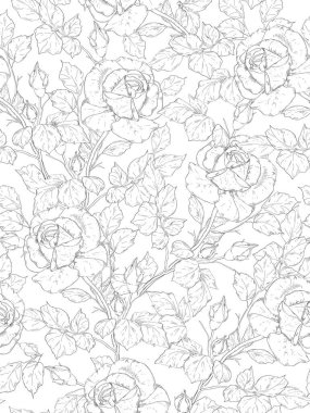Seamless floral pattern.  Botanical clip art. Roses black and white skethc. Vector flowers.