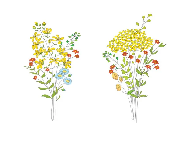 Kytice Ručně Kreslené Bylinky Rostliny Elegantní Listy Botanický Rustikální Trendy — Stockový vektor