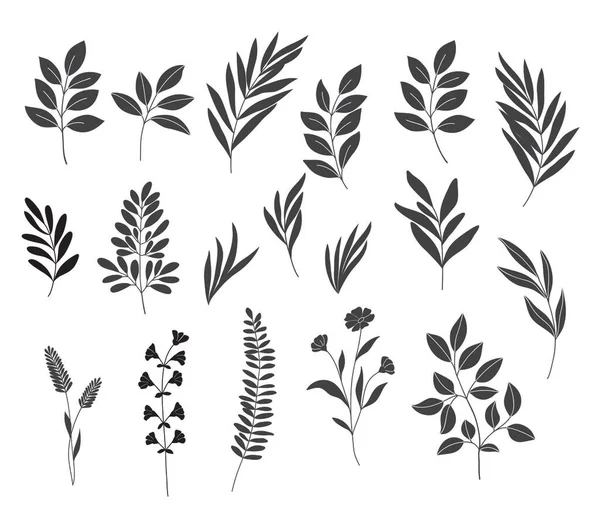 Botanické Klipy Čárový Vektor Divokých Květin Čáry Kreslených Listů Větví Stock Ilustrace
