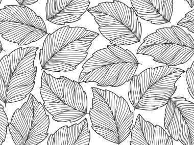 İnce çizgilerle çizilmiş yapraklarla kusursuz ve soyut bir arka plan. Siyah yapraklı beyaz arkaplan, tek renk. Vektör çiçek deseni