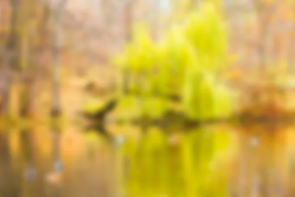 Scenic Bright Abstract Blurred Bokeh Landscape Golden Multicolored Autumn Fall — Stock Photo, Image