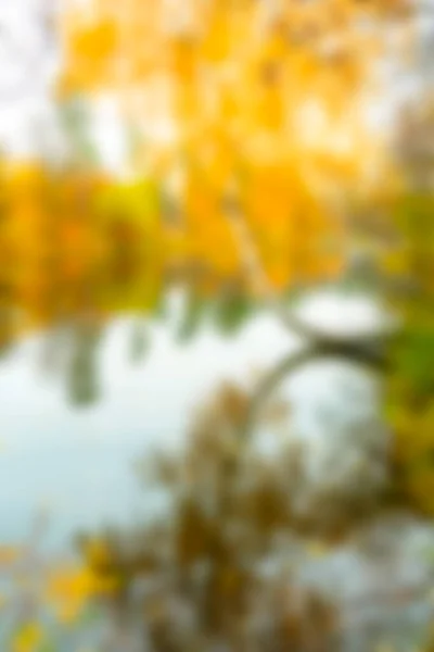 Malownicze Jasne Abstrakcyjne Rozmyte Bokeh Krajobraz Złoty Kolorowe Jesień Jesień — Zdjęcie stockowe