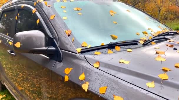 Паркована Машина Міській Вулиці Задній Двір Осінній Багатобарвний Апельсиновий Березовий — стокове відео