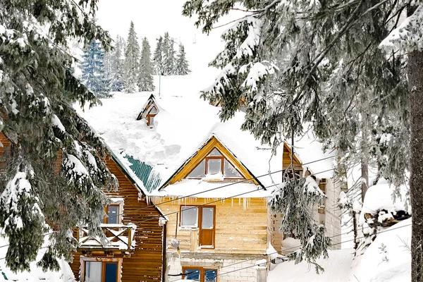 Wooden village rural house,mansion,hotel covered in snow,big icicles in winter forest mountains,Green high spruce pine trees,nature. Calm countryside. Home residence in coniferous trees.Eco concept