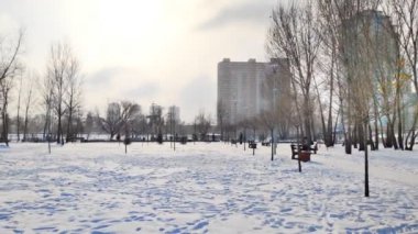 Kışın güzel manzaralı şehir parkı manzarası, megapolis manzarası ağaçlar, binalar, güneşli bir günde ışıl ışıl parlayan kar. Kış açık hava aktivitesi