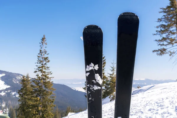 雪の丘の山のスキーのペア 冬の高山スキーリゾート 極端なスポーツの休日と美しい冬のカルパチア山脈のパノラマの景色 屋外の自然景観 ウクライナ ヨーロッパ — ストック写真