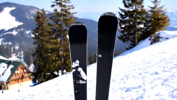 Pair Skis Snow Hill Mountain Winter Alpine Ski Resort Extreme — Stock Video
