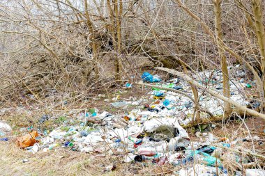 Büyük plastik ve cam şişeler çam ormanlarında ziyan oluyor. İnsan çöpü geri dönüşümlü çöplerle kirletilmiş doğa ortamı. Ekoloji kirliliği felaket tehlikesi.